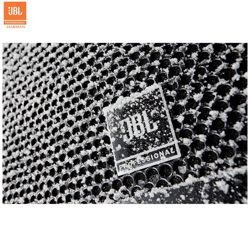 Loa JBL AW295-LS 4